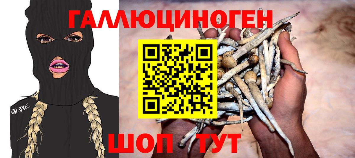 Псилоцибиновые грибы мухоморы Павлово