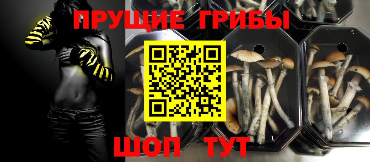 Псилоцибиновые грибы ЛСД  Псилоцибиновые грибы Cubensis  Вход с VPN  Павлово 